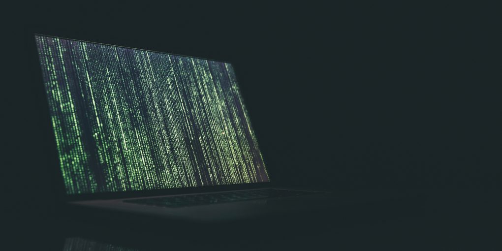 Web Security: The Basics