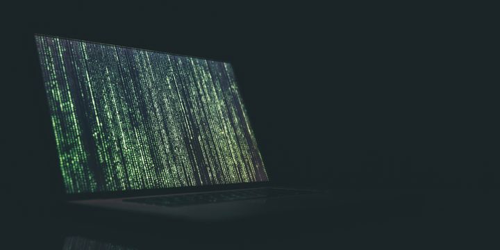 Web Security: The Basics